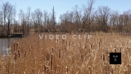 CLIP 5 - Erie Canal Vol. 3