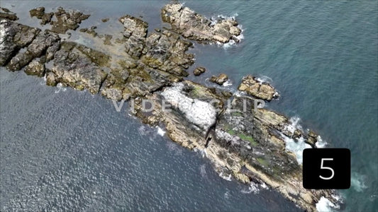 CLIP 5 - Aerial observing coastal island with wildlife in Massachusetts Bay