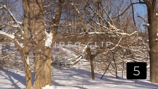 CLIP 5 - Winter Vol. 5 - Trees covered in Winter snow beside railroad tracks in outdoor park