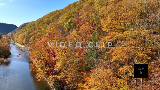 CLIP 5 - Pennsylvania Grand Canyon, PA rise up to view trees beside pine creek