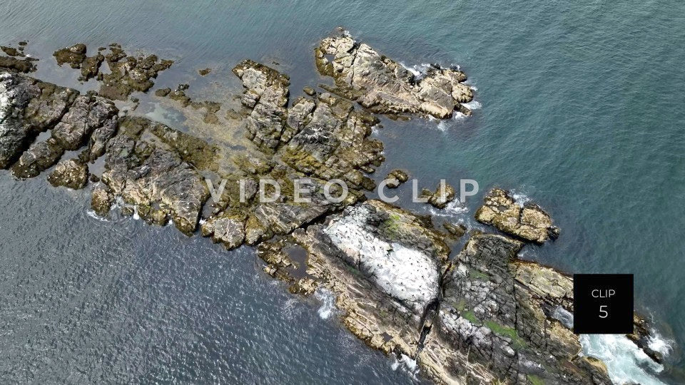 stock video Black Rock Island in Massachusetts Bay near Boston