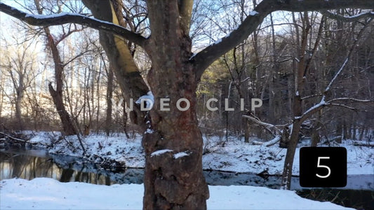 CLIP 5 - Rochester, NY Vol. 7 - Peaceful Irondequoit creek in Winter at Ellison Park, NY