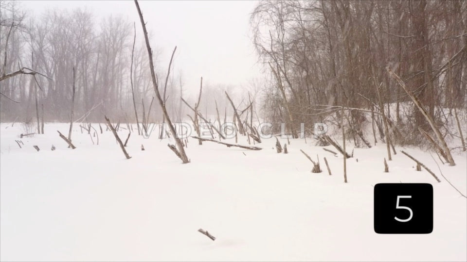 CLIP 5 -Winter Vol. 4 - Winter trees frozen in pond with snow