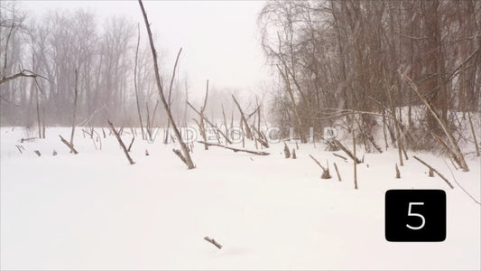 CLIP 5 -Winter Vol. 4 - Winter trees frozen in pond with snow