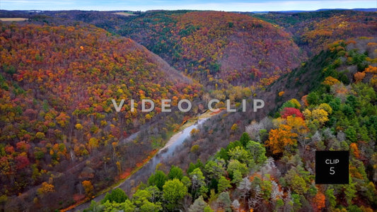 CLIP 5 - Pennsylvania Grand Canyon flight over Canyon ridge line