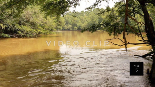 CLIP 5 - Peaceful River