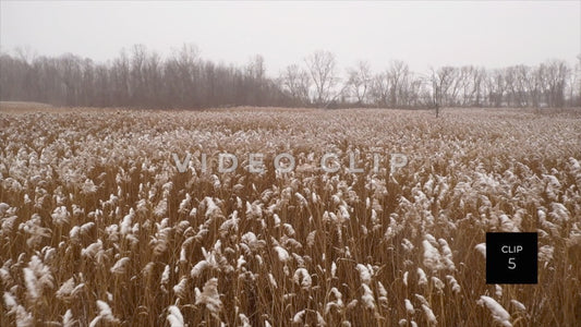 CLIP 5 - Erie Canal Vol. 8