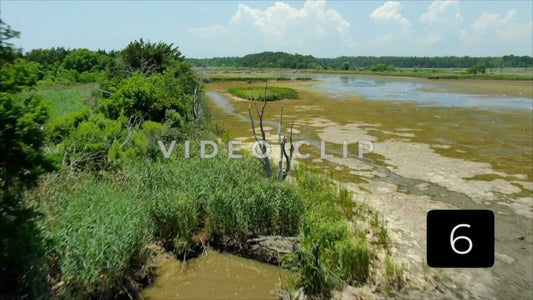 CLIP 6 - South Carolina Ricefields Vol 4. - Estherville Plantation