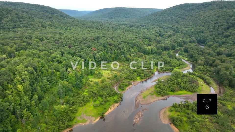 Stock video Allegheny National Forest