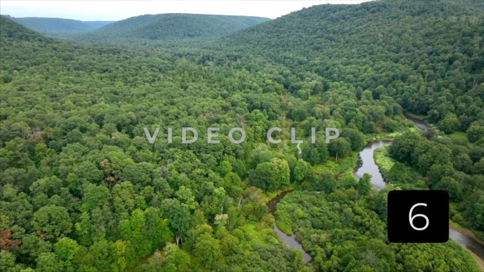 CLIP 6 - Remote wilderness with mountains and streams in Allegheny National Forest