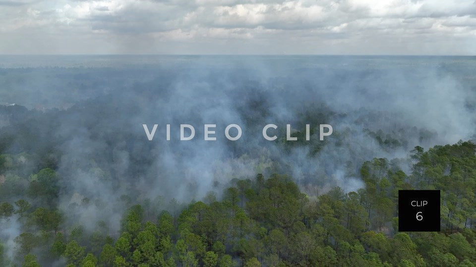 Stock video Controlled burning of forest landscape