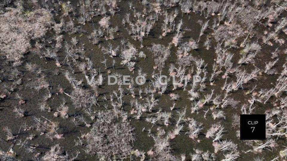 CLIP 7 - Erie Canal Vol. 8