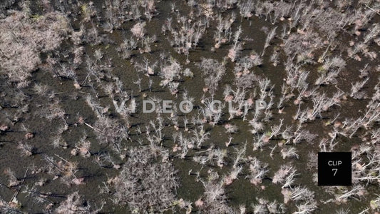 CLIP 7 - Erie Canal Vol. 8