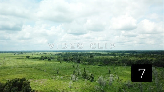 CLIP 7 - South Carolina Ricefields Vol 5. - Samsworth Plantation