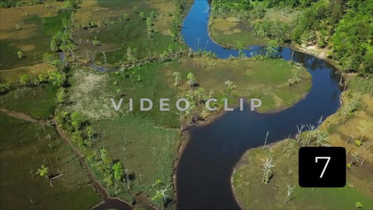 CLIP 7 - South Carolina Ricefields Vol 6. - Sampit River