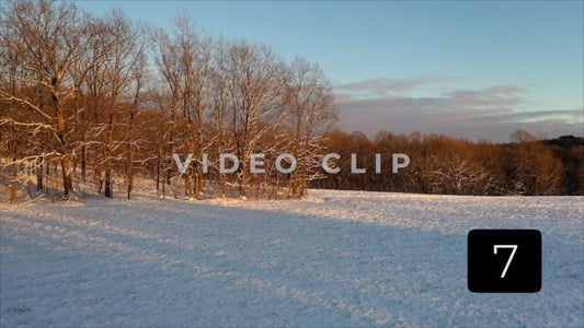 CLIP 7 - Winter Vol. 2 - Field with fresh Winter snowfall and sunlight in trees at sunset