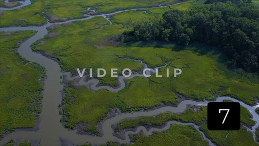 CLIP 7 - Woodland Beach, DE