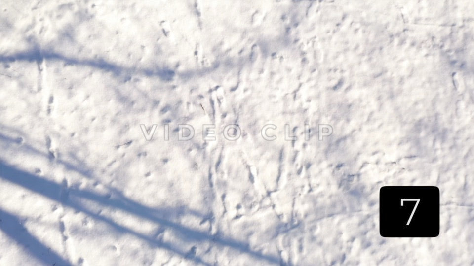 CLIP 7 - Rochester, NY Vol. 7 - Snow covered ground in Winter at Ellison Park, NY