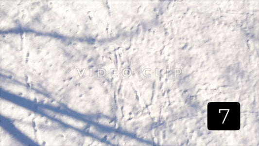 CLIP 7 - Rochester, NY Vol. 7 - Snow covered ground in Winter at Ellison Park, NY
