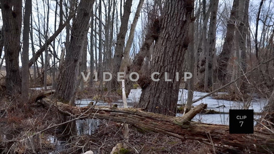 CLIP 7 - Erie Canal Vol. 4