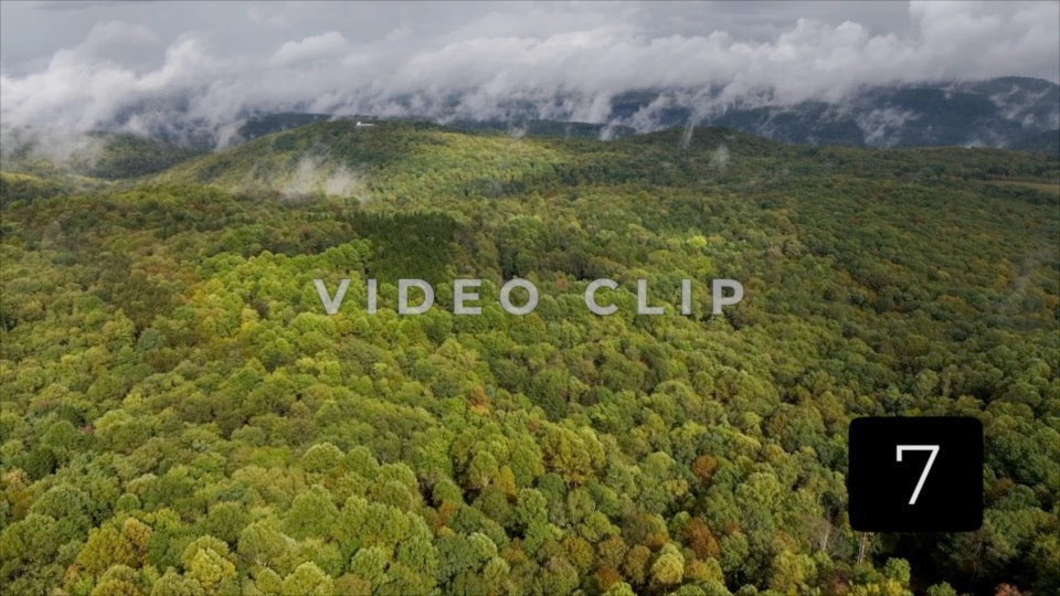 CLIP 7 - Ohiopyle, PA mist and fog over green forest landscape