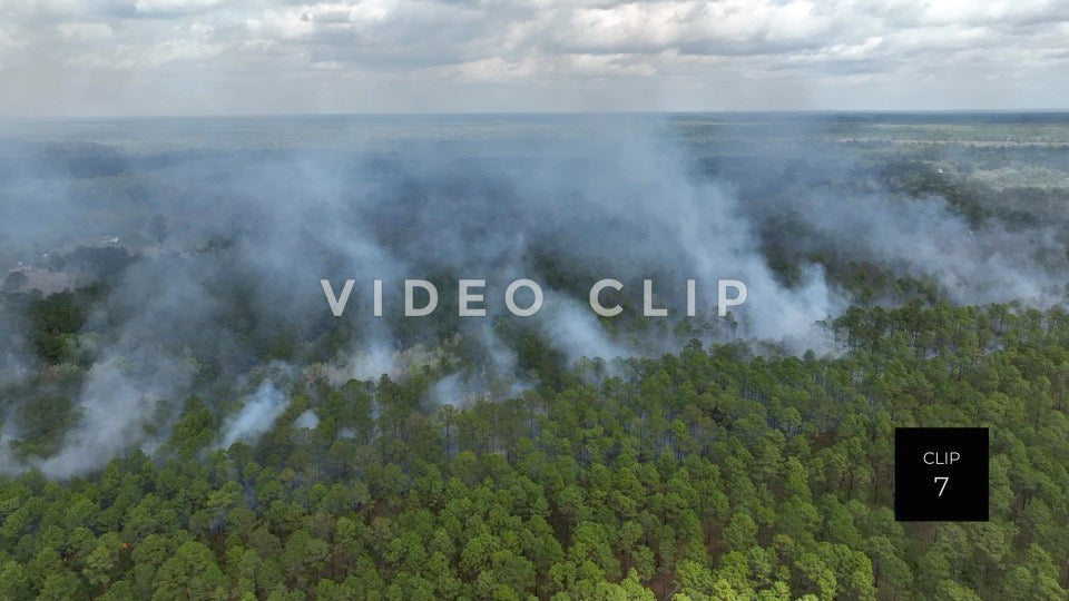 Stock video Controlled burning of forest landscape