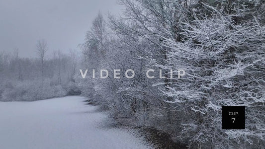 CLIP 7 - Ice in Tree branches during snow fall in Winter