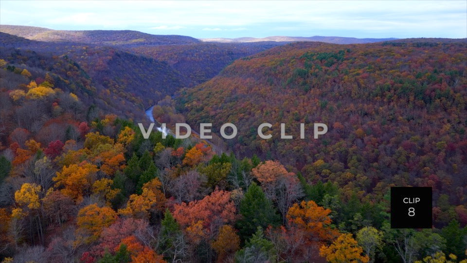 CLIP 8 - Pennsylvania Grand Canyon treetop flying towards Canyon