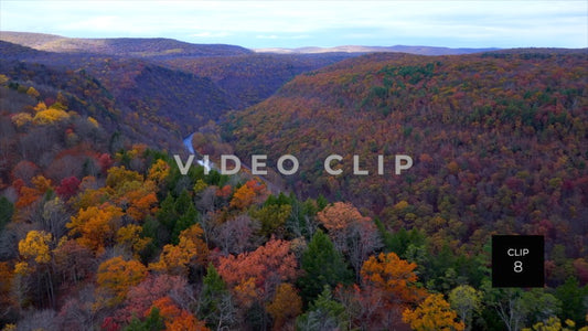 CLIP 8 - Pennsylvania Grand Canyon treetop flying towards Canyon