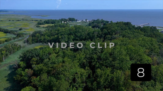 CLIP 8 - Woodland Beach, DE