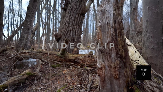 CLIP 8 - Erie Canal Vol. 4