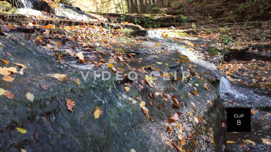 CLIP 8 - Waterfall Serenity