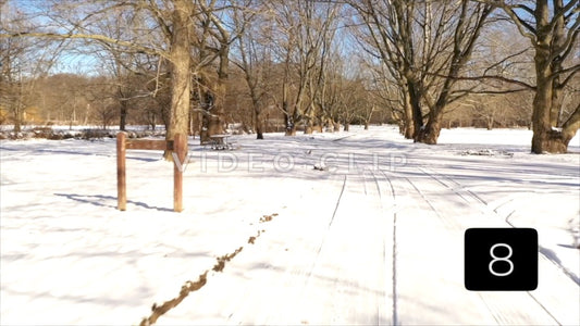 CLIP 8 - Rochester, NY Vol. 7 - Snow covered road in Winter Ellison Park, NY