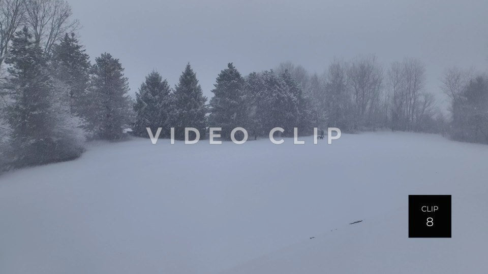 CLIP 8 - Person walking dogs in public park while snow falls in Winter