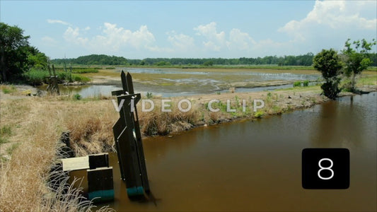 CLIP 8 - South Carolina Ricefields Vol 4. - Estherville Plantation