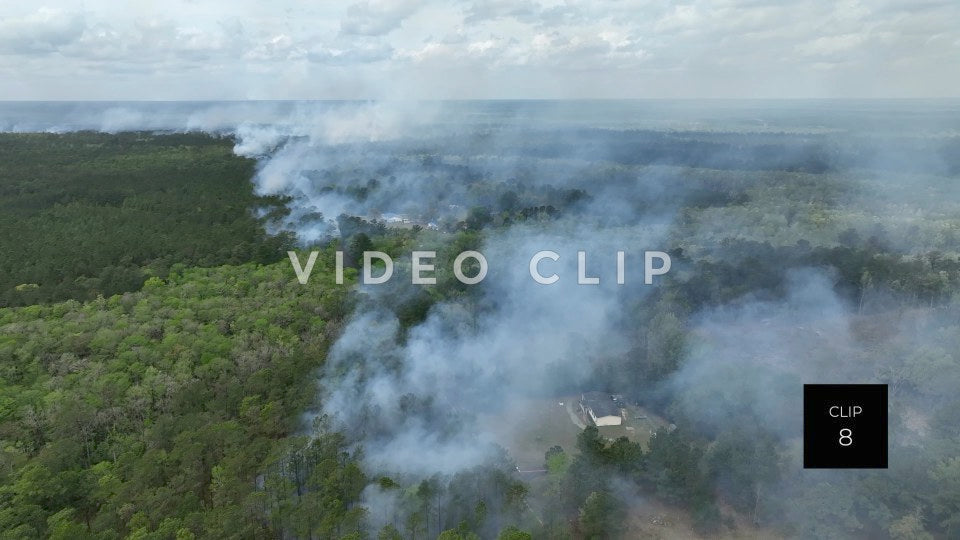 Stock video Controlled burning of forest landscape