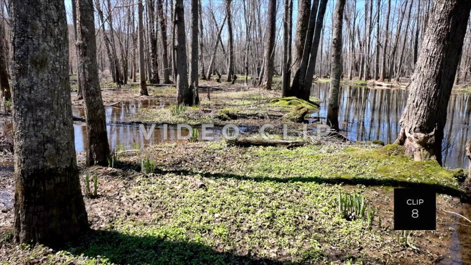 CLIP 8 - Erie Canal Vol. 8