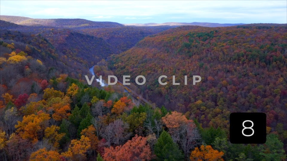 CLIP 8 - Pennsylvania Grand Canyon treetop flying towards Canyon