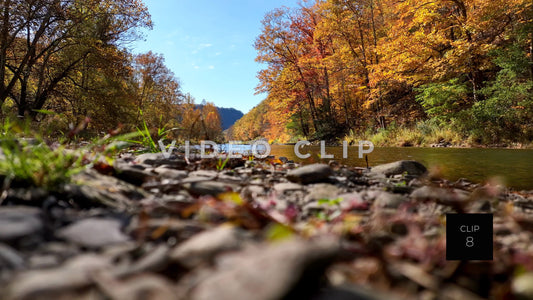 CLIP 8 - Pennsylvania Grand Canyon, PA Pine Creek bank and water flows