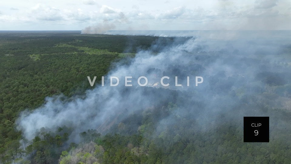 Stock video Controlled burning of forest landscape