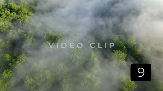 CLIP 9 - Green forest landscape blanketed in morning mysterious mist in Tennessee mountains
