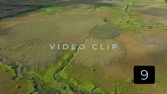 CLIP 9 - South Carolina Ricefields Vol 2. - Pee Dee Waccamaw Confluence