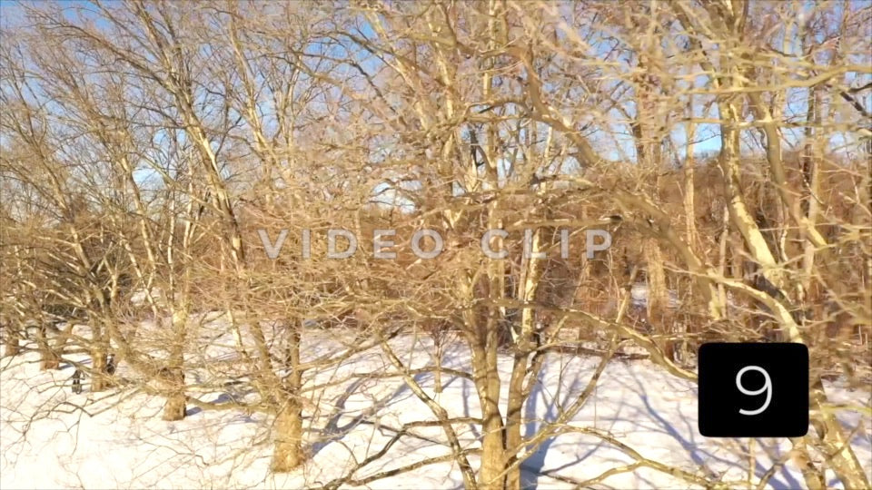 CLIP 9 - Rochester, NY Vol. 7 - Person riding bike around trees in Winter at Ellison Park, NY