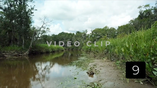 CLIP 9 - South Carolina Ricefields Vol 5. - Samsworth Plantation