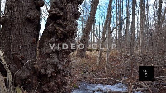 CLIP 9 - Erie Canal Vol. 4