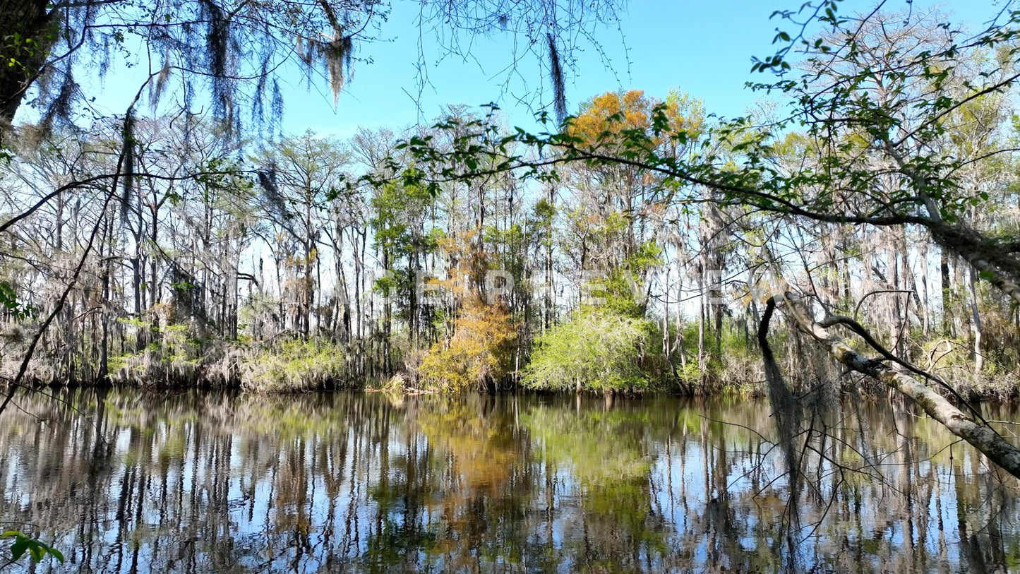 4k Still Frame - Johnsonville, SC Lynches River under blue sky in early Spring