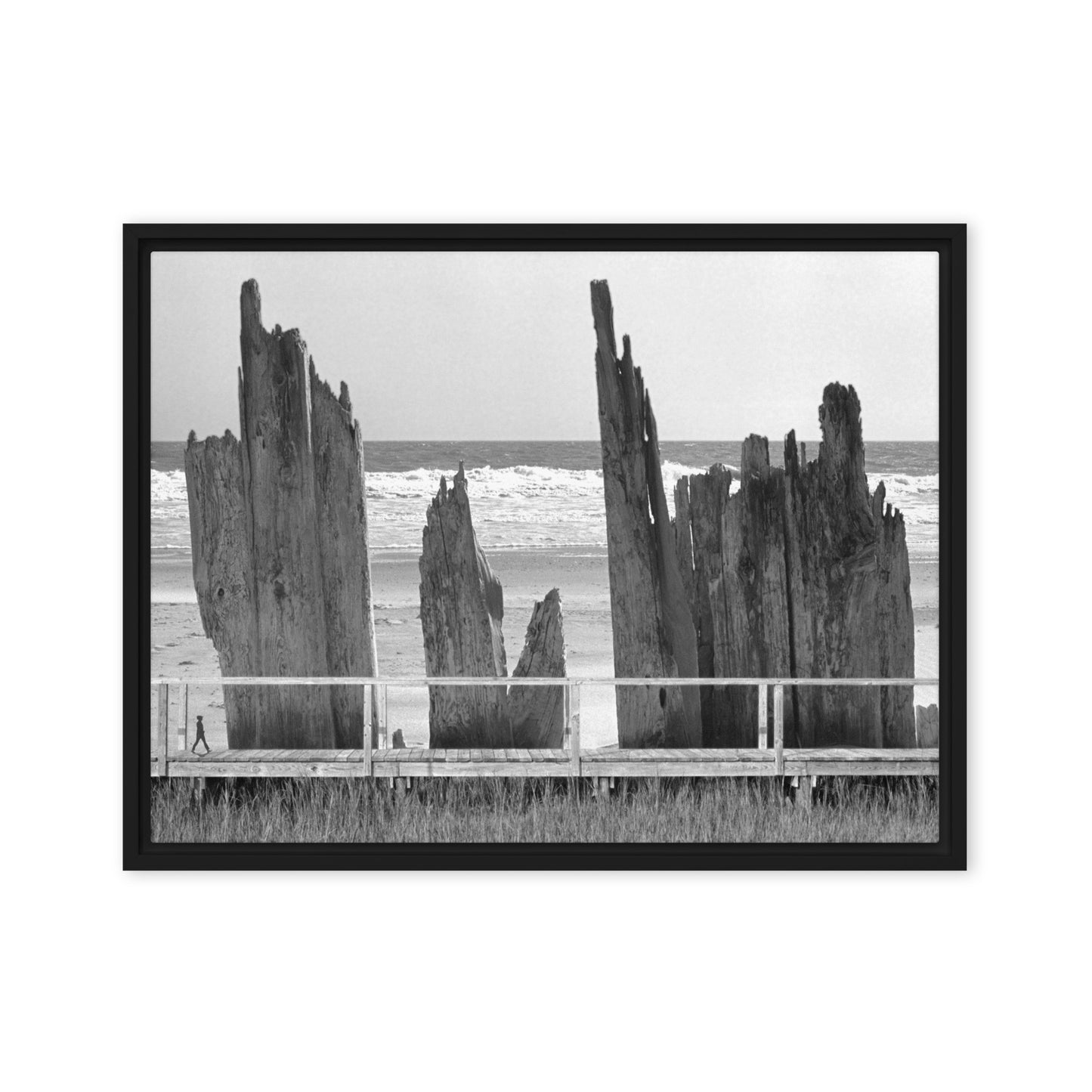 Pawleys Island Beach and Boardwalk Photo Collage