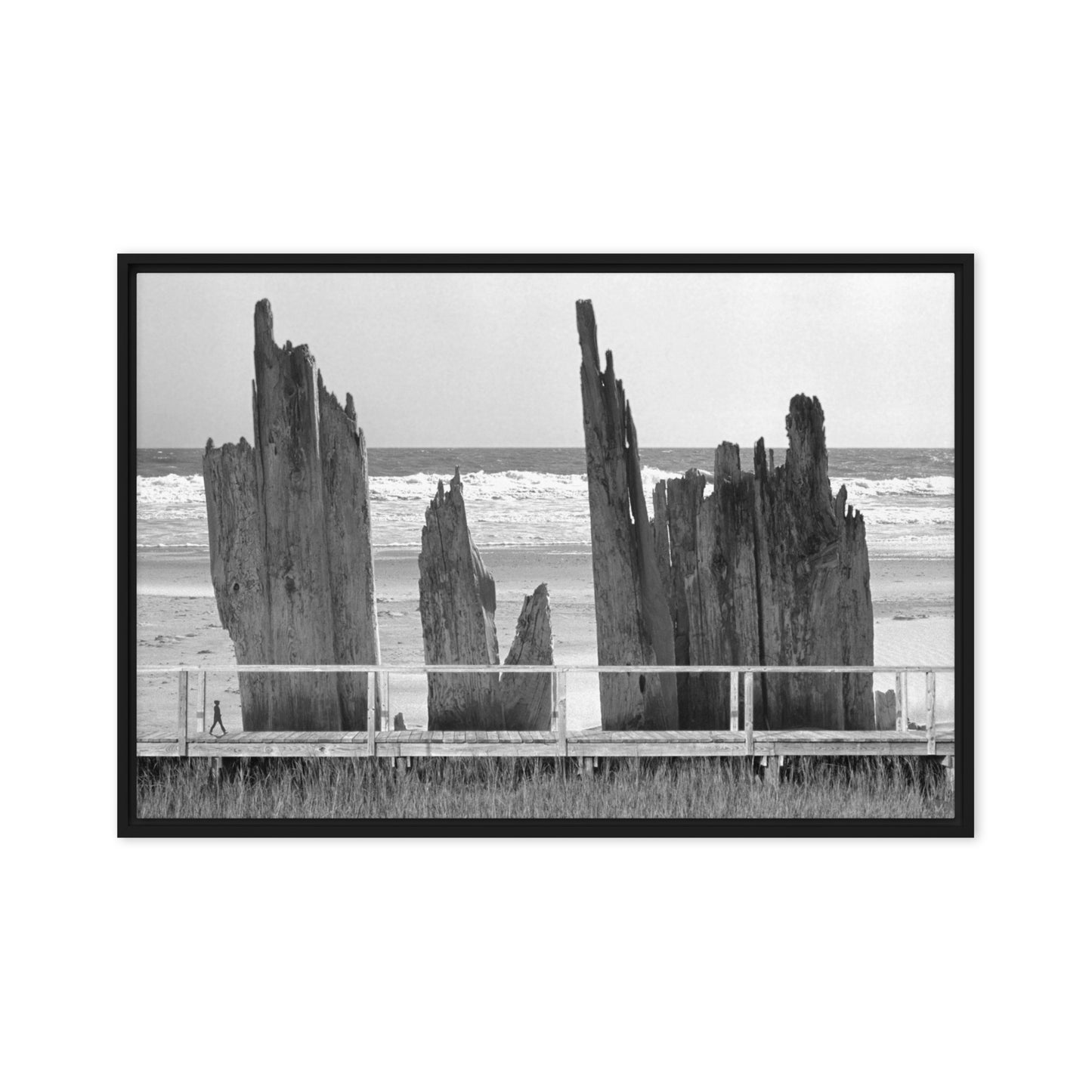 Pawleys Island Beach and Boardwalk Photo Collage