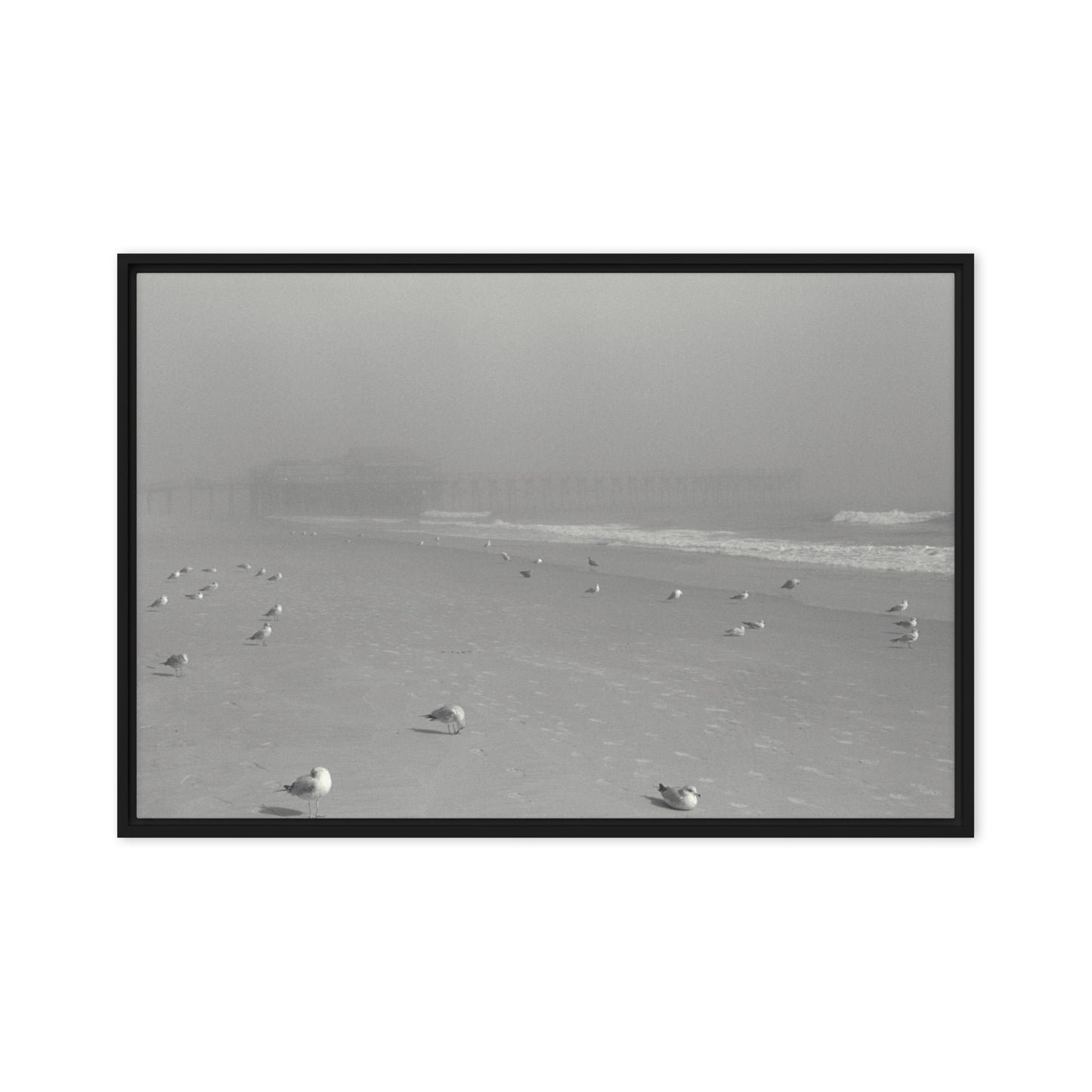 Myrtle Beach Pier in Morning Fog