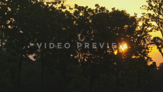 Video - Slowly rising above the trees to see a beautiful sunrise